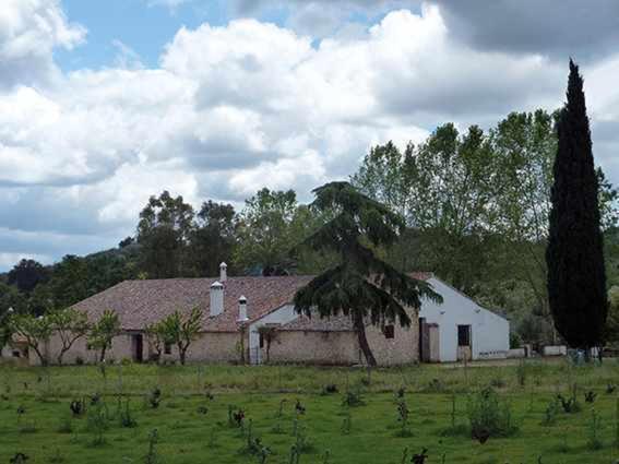 Гостевой дом Lagar De Vina Vieja Казалла де ла Сиерра Экстерьер фото